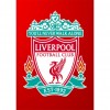 Liverpool - Full Round Diamond - 30x40cm