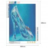 Shoes - Full Round Diamond - 30x40cm