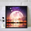 Moon  - Full Round Diamond - 30x30cm