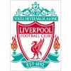 Liverpool  - Full Round Diamond - 30x40cm