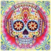 Skull - Special Shaped Diamond - 30x30cm