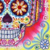 Skull - Special Shaped Diamond - 30x30cm