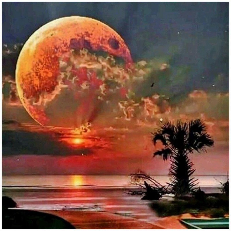 Moon  - Full Round D...