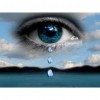 Art Eyes with Stories  - Full Round Diamond - 30x40cm