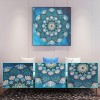 Mandala  - Special Shaped Diamond - 30x30cm