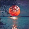 Moon  - Full Round Diamond - 30x30cm