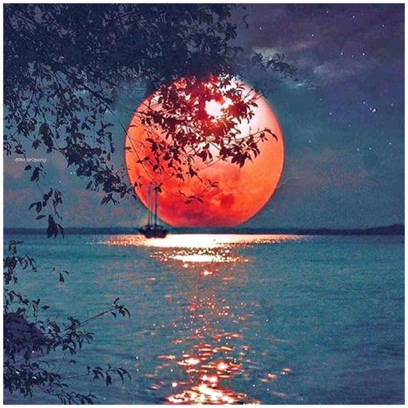 Moon  - Full Round D...