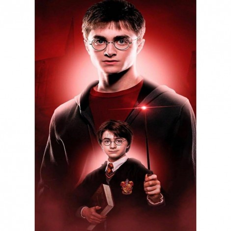 5D Diamond Portrait Full Round Drill Wizard Picture of Rhinestone (B341)