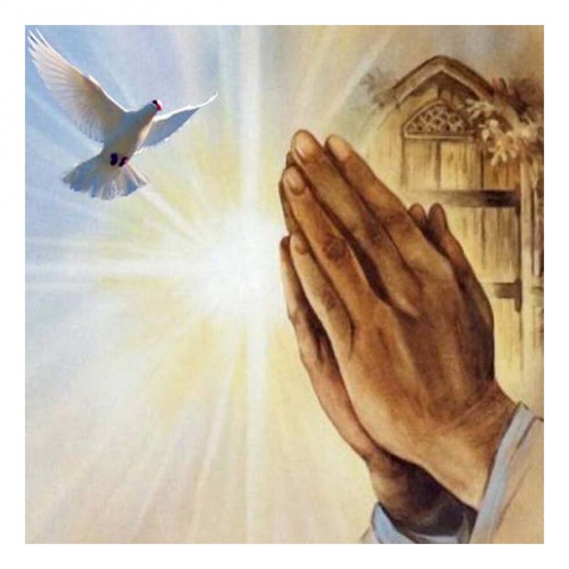 Praying Hands Dove -...