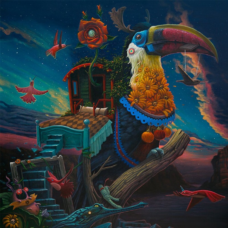 Illustrator By Anton...