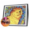 Cute Cats Color - Full Round Diamond - 40x30cm