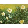 Wild Rose - Full Round Diamond - 50x40cm
