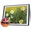 Wild Rose - Full Round Diamond - 50x40cm