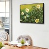 Wild Rose - Full Round Diamond - 50x40cm