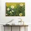 Wild Rose - Full Round Diamond - 50x40cm