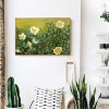 Wild Rose - Full Round Diamond - 50x40cm