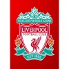 Badge - Full Square Diamond - 40*50cm