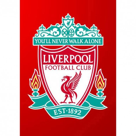 Badge - Full Square Diamond - 40*50cm
