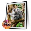 Koala - Full Round Diamond - 30x40cm