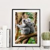 Koala - Full Round Diamond - 30x40cm