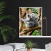 Koala - Full Round Diamond - 30x40cm