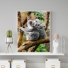 Koala - Full Round Diamond - 30x40cm