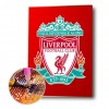 Badge - Full Square Diamond - 40*50cm