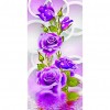 Flower-Round Diamond-30*48CM