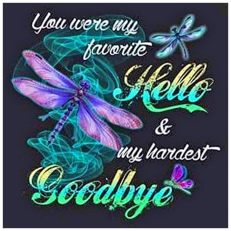 Dragonfly - Full Rou...