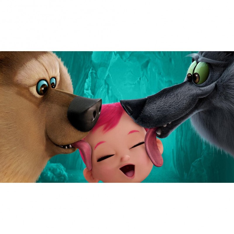 Cartoon Birds - Full...