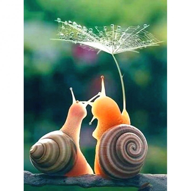 Snail Living - Squar...