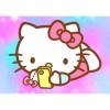 5D DIY Full Drill Diamond Painting Hello Kitty Kits