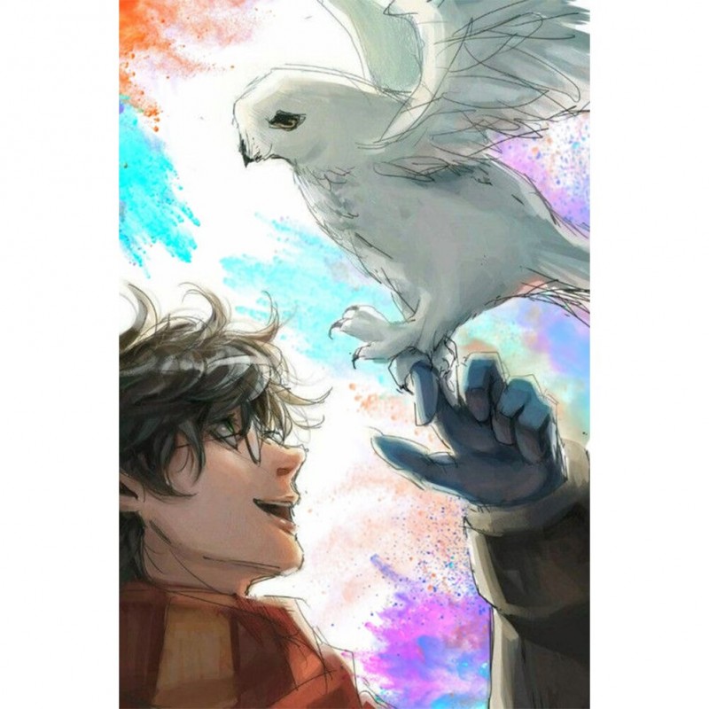 Cartoon Boy Bird - F...