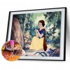 Snow White - Full Round Diamond - 50*40cm