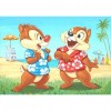 5D DIY Full Drill Diamond Painting Chip and Dale Kits