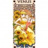 Venus - Full Round Diamond - 40x80cm