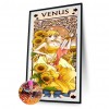 Venus - Full Round Diamond - 40x80cm