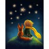 Boy Puppy Star Sky Color - Full Round Diamond - 40x50cm