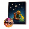Boy Puppy Star Sky Color - Full Round Diamond - 40x50cm