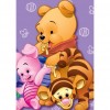 Winnie The Pooh - Full Round Diamond - 30*40cm