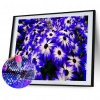 Chrysanthemum - Full Round Diamond - 40x30cm