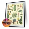 Cacti Succulent of - Full Round Diamond - 40x50cm