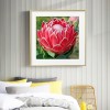 5D DIY Diamond Painting Flower Full Round Drill Wall Art