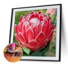 5D DIY Diamond Painting Flower Full Round Drill Wall Art