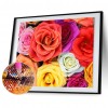 Affectionately Blooming Red Rose - Full Round Diamond - 40*30cm