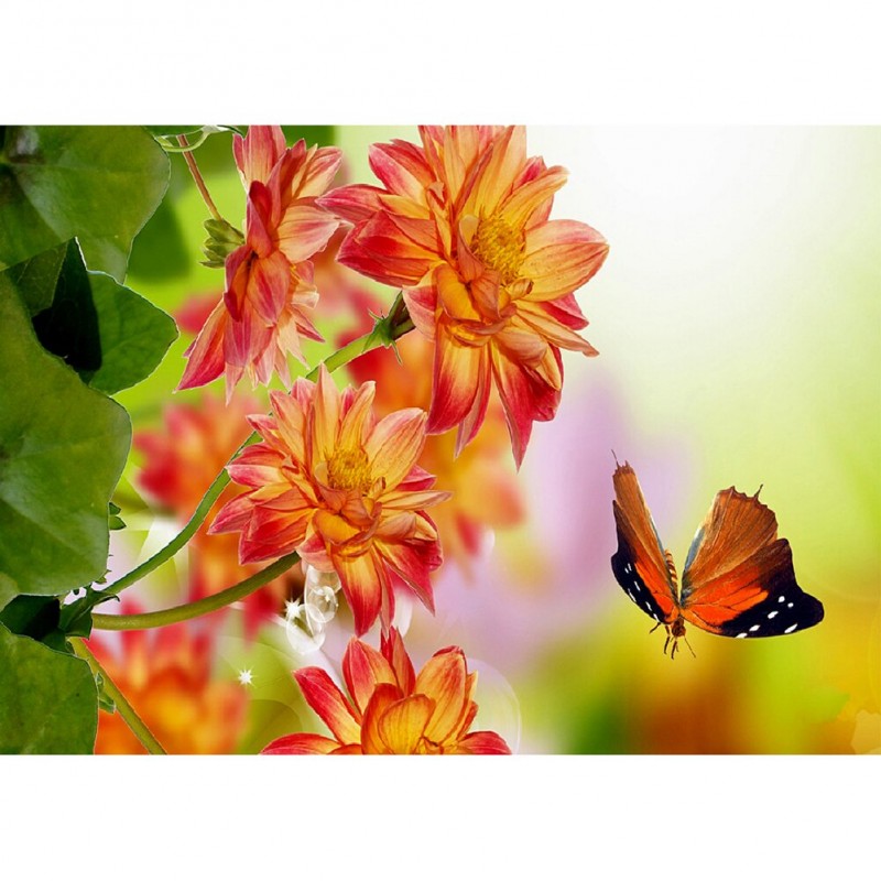 Butterfly and Flower...