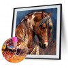 Beautiful Horse 5D DIY  Diamond Painting