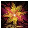 5D Diamond Abstract Flower Painting DIY Art Kit