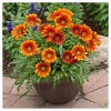 5D DIY Full Drill Diamond Painting Flower Bouquet Gift