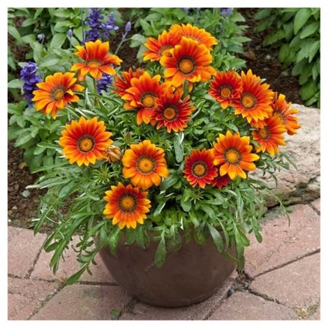 5D DIY Full Drill Diamond Painting Flower Bouquet Gift
